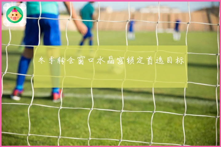 冬季转会窗口水晶宫锁定首选目标