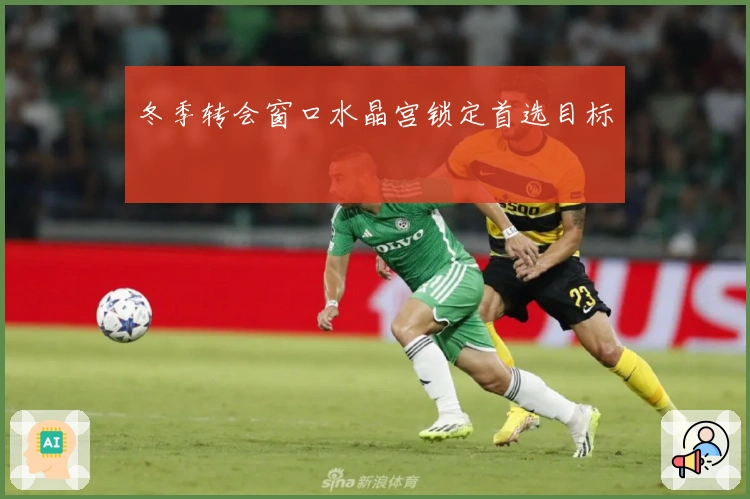 冬季转会窗口水晶宫锁定首选目标