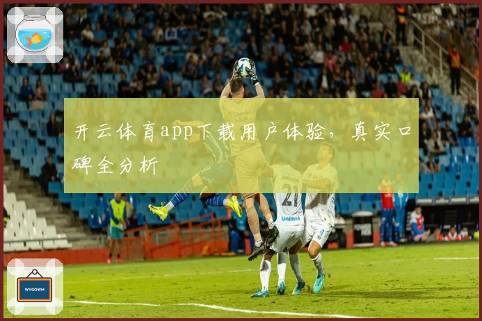 开云体育app下载用户体验，真实口碑全分析